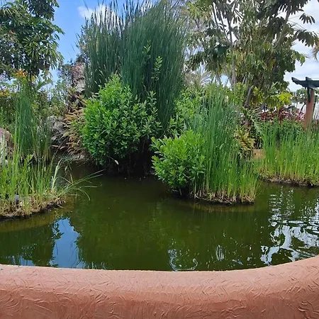 Parque Don Jose Casa Palmera Коста-дель-Силенцио